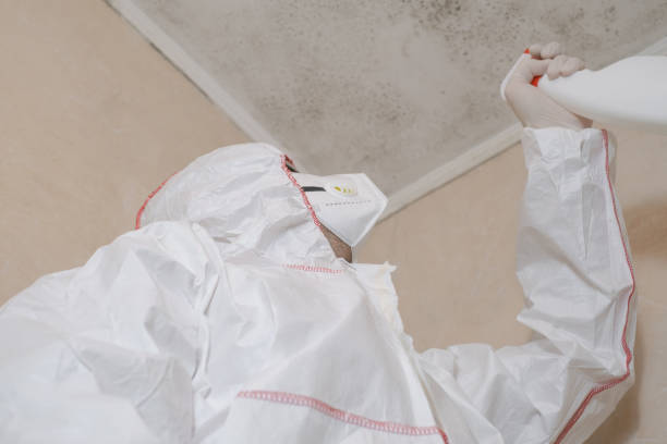 Best Toxic Mold Removal  in Zeigler, IL