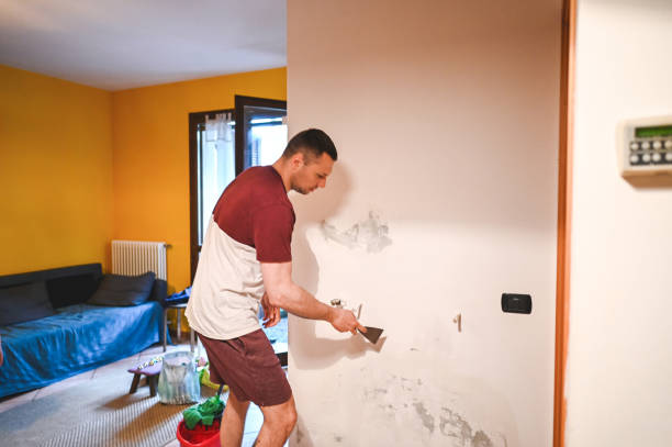 Best Mold Removal Company Near Me  in Zeigler, IL